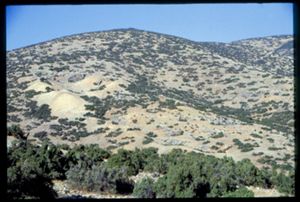PR309_01_21