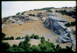 PR309_02_20