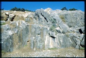 PR309_02_24