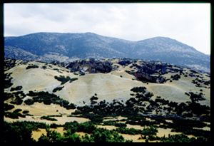PR309_03_11