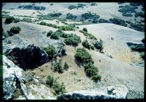 PR309_04_06