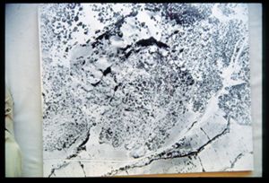 PR309_05_15