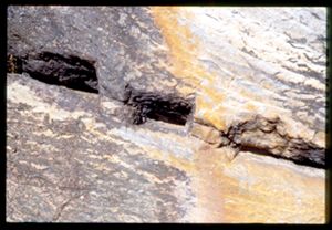 PR309_06_08