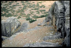 PR309_07_23