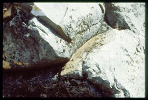 PR309_09_12