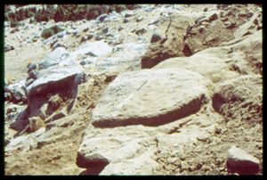 PR309_10_14