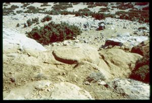 PR309_10_15