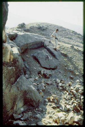 PR309_11_03