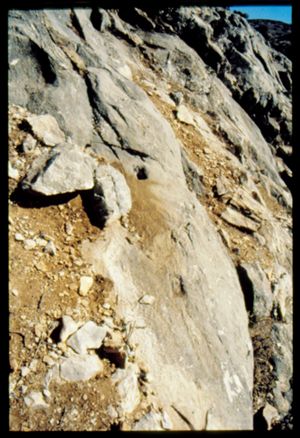 PR309_11_07