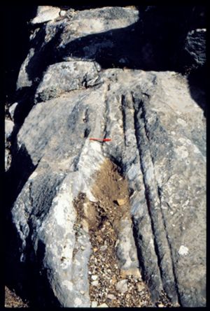PR309_11_10