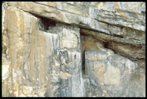 PR309_12_09