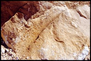 PR309_14_19