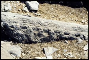 PR309_15_19