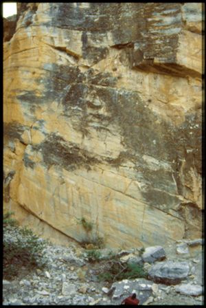 PR309_16_21