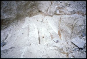 PR311_03_15