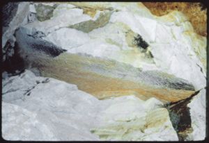 PR311_03_20