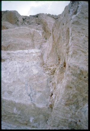 PR311_03_22