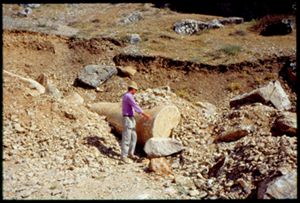 PR311_05_19