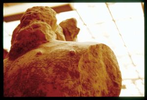 PR312_03_19