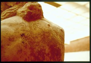 PR312_03_21