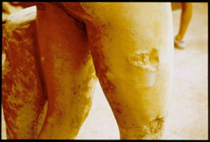 PR312_03_24