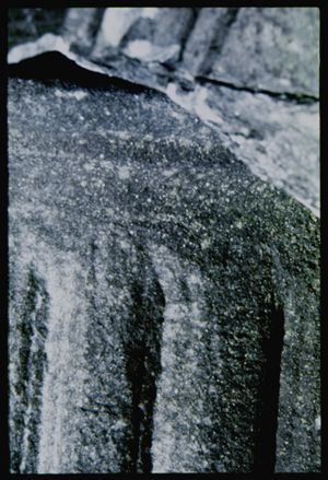 PR313_01_14