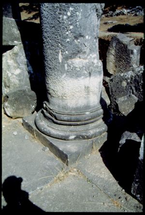 PR313_01_17
