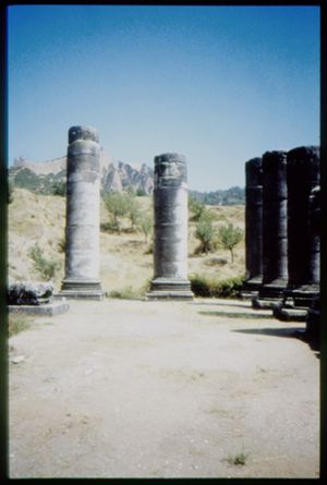PR315_01_06