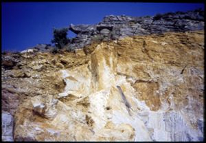PR316_01_01