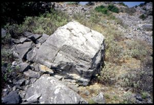 PR316_01_20