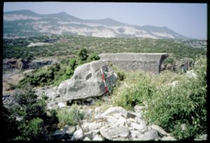 PR316_02_19