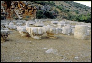 PR316_03_17