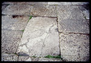 PR319_01_18