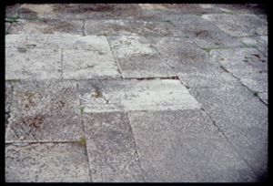 PR319_01_19