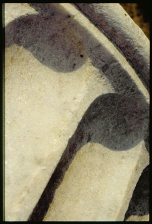 PR321_01_12