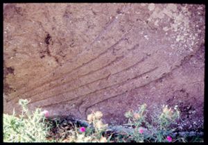 PR938_02_03_02