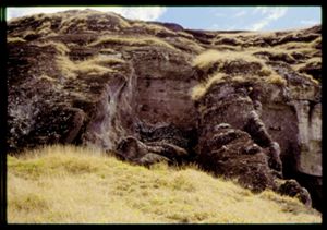 PR938_02_19_08